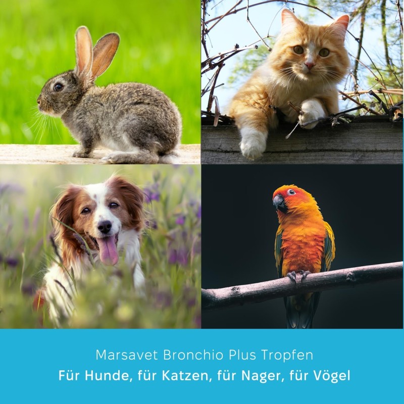 Marsavet Bronchio Plus Druppels – Ondersteuning voor Luchtwegen – met kat