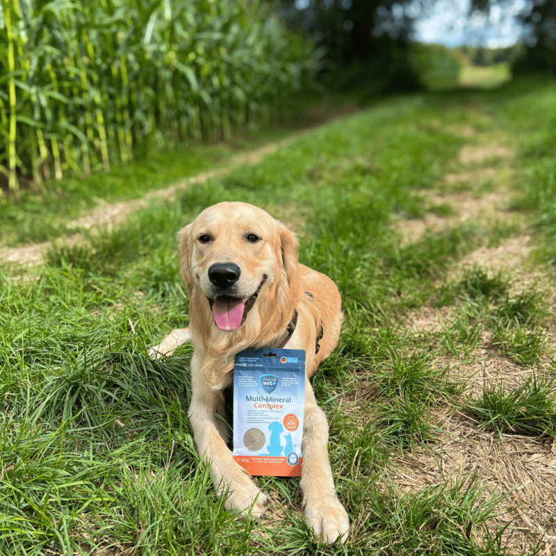 Marsavet Multi-Mineral en poudre – Chiens, Chats 125 g – image 7