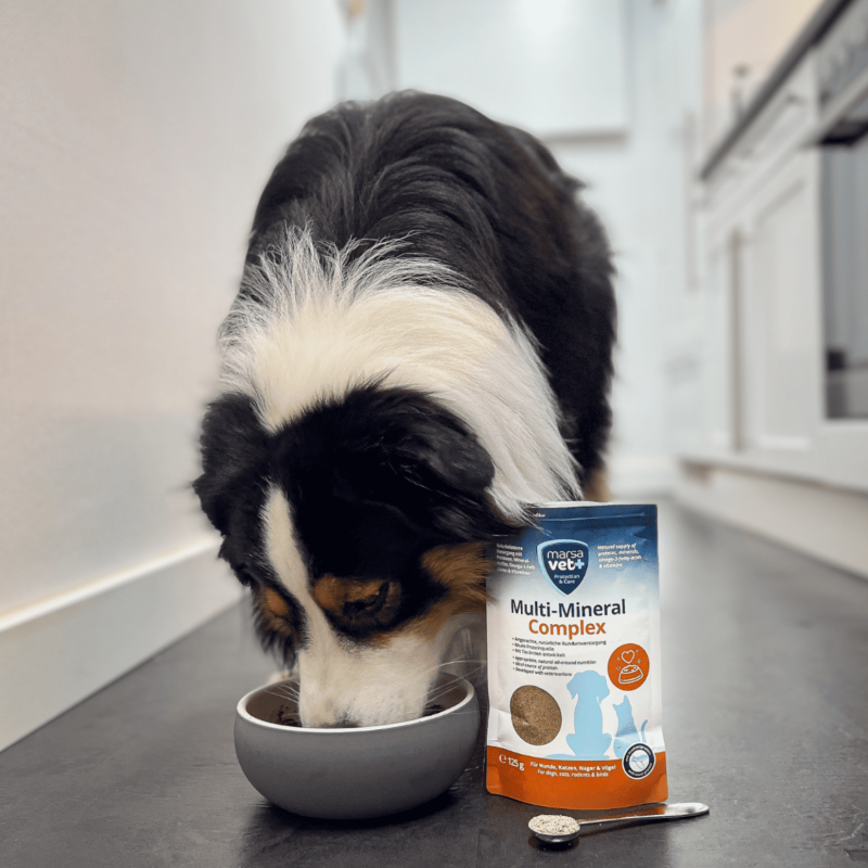 Marsavet Multi-Mineral en poudre – Chiens, Chats 125 g – image 8