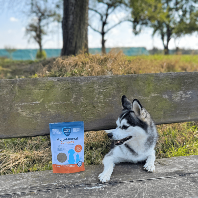 Marsavet Multi-Mineral en poudre – Chiens, Chats 125 g – image 10