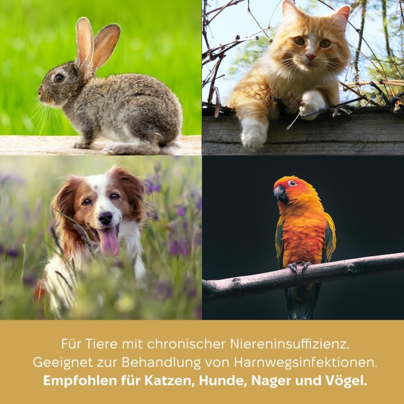 Marsavet Multi-Mineralenpoeder – Honden, katten 125 g – afbeelding 7