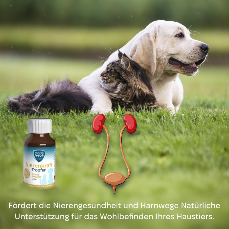 Marsavet Multi-Mineralenpoeder – Honden, katten 125 g – afbeelding 8