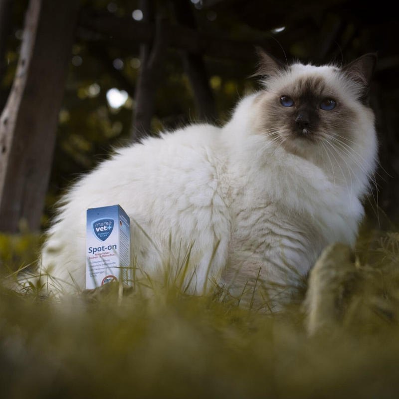 Marsavet Spot-on – Protection tiques & puces 50 ml – with cat