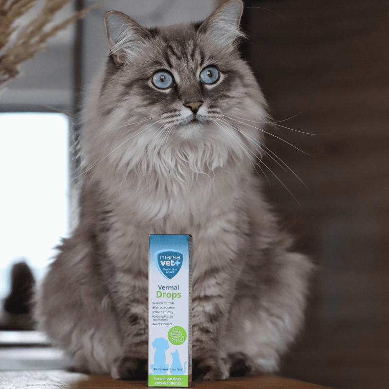 Marsavet Vermal Druppels – Na Wormbesmetting 50 ml – with cat