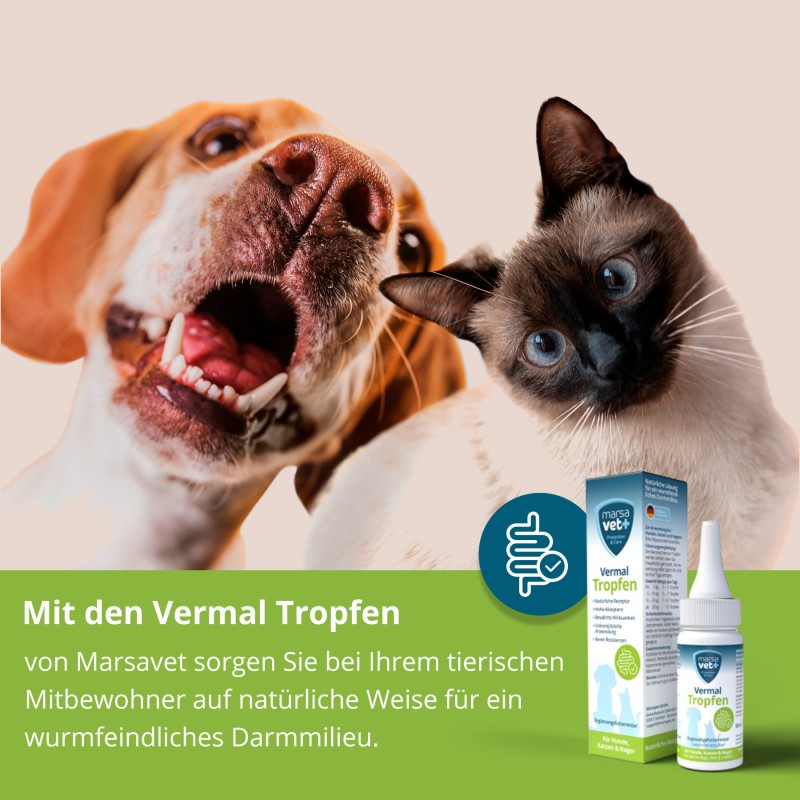 Marsavet Vermal Druppels – Na Wormbesmetting 50 ml – afbeelding 7