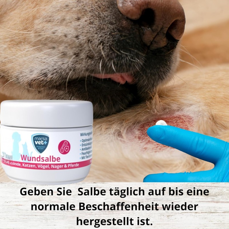 Marsavet Pommade Cicatrisante – Guérison des plaies animaux 30 ml – in use