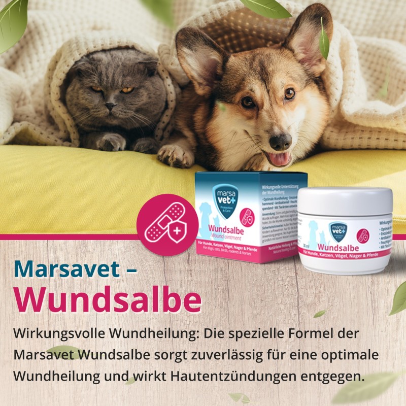 Marsavet Pommade Cicatrisante – Guérison des plaies animaux 30 ml – ointment