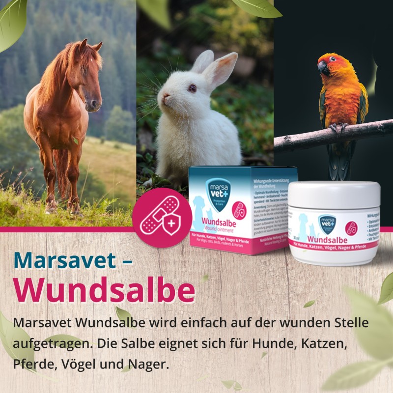 Marsavet Pommade Cicatrisante – Guérison des plaies animaux 30 ml – ointment